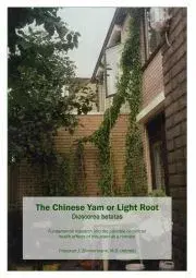 Prírodné vedy - ostatné The Chinese Yam or Light Root Dioscorea batatas - J. Zimmermann Theodoor