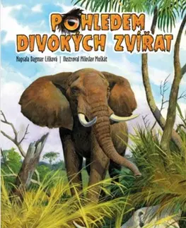 Pre deti a mládež - ostatné Pohledem divokých zvířat - Kolektív autorov