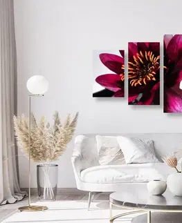 Obrazy kvetov 5-dielny obraz kvety v miske