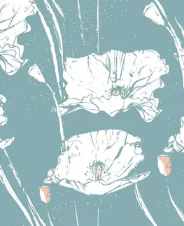 Tapety kvety Tapeta pôvabné maky s tyrkysovým pozadím