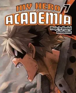 Manga My Hero Academia - Moje hrdinská akademie 7 - Kóhei Horikoši