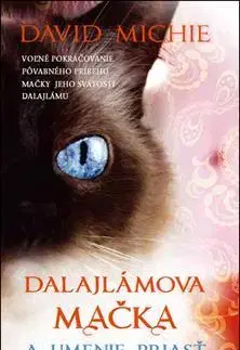 Svetová beletria Dalajlámova mačka a umenie priasť - David Michie