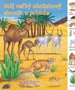 Leporelá, krabičky, puzzle knihy Môj veľký obrázkový slovník o prírode - Zvieratá a rastliny v púšti