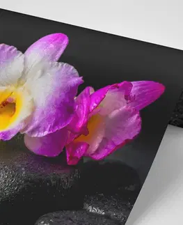 Tapety Feng Shui Fototapeta orchidea na Zen kameňoch