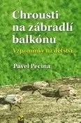 Hmyz Chrousti na zábradlí balkónu - Pavel Pecina