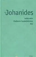Slovenská beletria Súkromie, Podstata kameňolomu, Nie - Ján Johanides