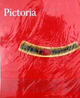 História - ostatné Pictoria (nemecký jazyk) - Pavel Dvořák