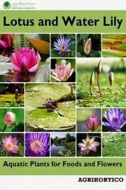 Prírodné vedy - ostatné Lotus and Water Lily