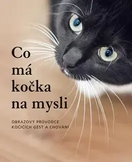 Mačky Co má kočka na mysli, 2. vydání - Brigitte Widmann Rauth