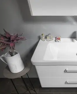 Kúpeľňa SAPHO - THEIA umývadlová skrinka 101,4x43,5x44,2cm, 2xzásuvka, biela TH105-3030