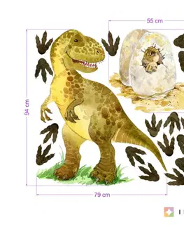 Nálepky na stenu Tyrannosaurus rex - nálepky pre chlapcov