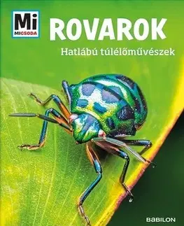 Príroda Rovarok - Hatlábú túlélőművészek - Mi Micsoda - Alexandra Rigos