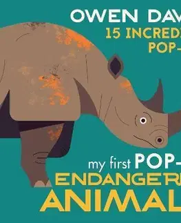 3D, magnetické, priestorové knihy My First Pop-Up Endangered Animals - Owen Davey