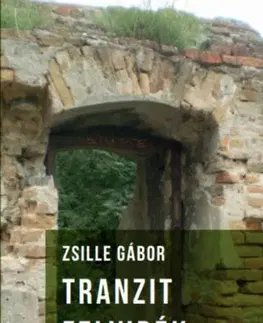 Svetová poézia Tranzit Felvidék - Gábor Zsille