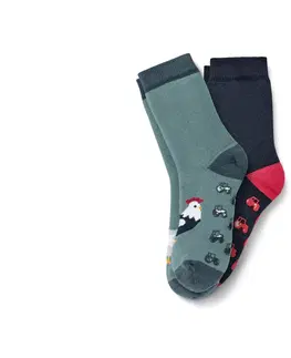 Socks Detské protišmykové ponožky, 2 páry, motív farmy
