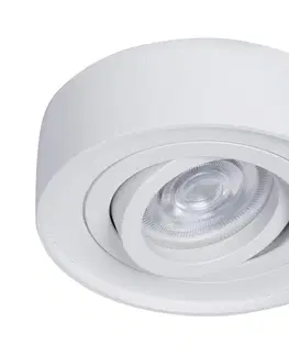 Svietidlá  Podhľadové bodové svietidlo NUSA 1xGU5,3-MR16/50W/12V okrúhly biela 