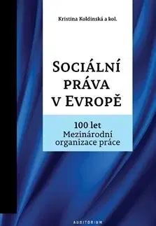 Európske právo Sociální práva v Evropě - Kolektív autorov,Kristina Koldinská
