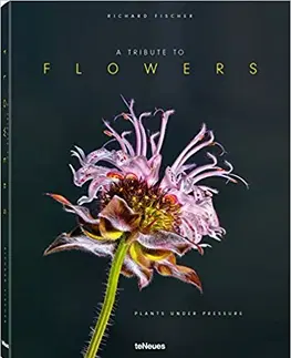 Fotografia A Tribute to FLOWERS - Richard Fischer