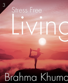 Duchovný rozvoj Saga Egmont Stress Free Living 3 (EN)