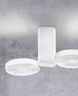 Stropné svietidlá ICONE ICONE Cidi – stropné LED svietidlo, biele