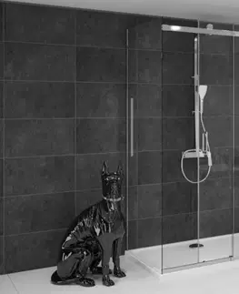 Sprchovacie kúty REA/S - Sprchovací kút Nixon 100x120 ĽAVÝ KPL-00431