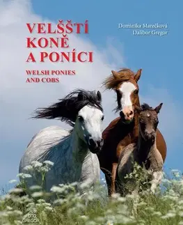Kone Velšští koně a poníci / Welsh Ponies and Cobs - Dominika Marečková,Dalibor Gregor