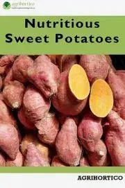 Hobby - ostatné Nutritious Sweet Potatoes