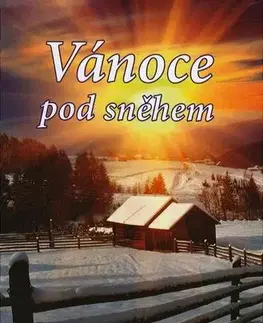 Česká beletria Vánoce pod sněhem - Soubor povídek