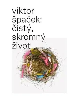 Novely, poviedky, antológie Čistý, skromný život - Viktor Špaček