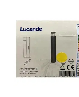 LED osvetlenie Lucande Lucande - LED Vonkajšia lampa JAXON LED/15W/230V IP54 