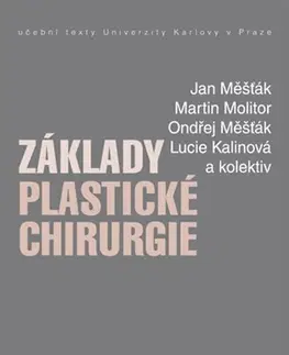 Chirurgia, ortopédia, traumatológia Základy plastické chirurgie - Kolektív autorov,Jan Měšťák