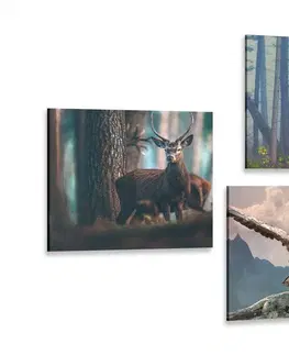 Zostavy obrazov Set obrazov zákutia lesa