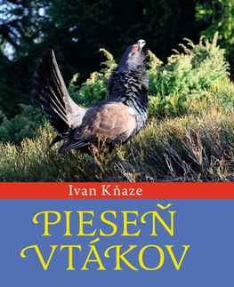 Biológia, fauna a flóra Pieseň vtákov - Ivan Kňaze