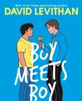 Young adults Boy Meets Boy - David Levithan