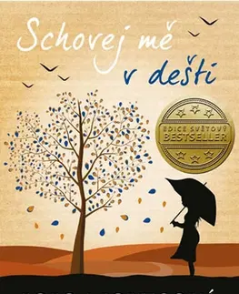 Romantická beletria Schovej mě v dešti - Jojo Moyes,Lucie Mikolajková