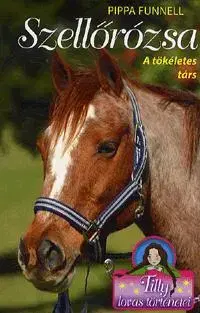 Dobrodružstvo, napätie, western Tilly lovas történetei 3: Szellőrózsa - A tökéletes társ - Pippa Funnell