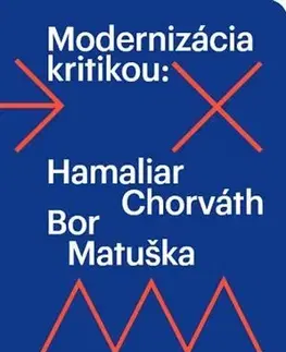 Literárna veda, jazykoveda Modernizácia kritikou - Magdalena Bystrzak,Vladimír Barborík
