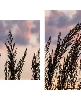 Obrazy prírody a krajiny 5-dielny obraz tráva pri zapadajúcom slnku