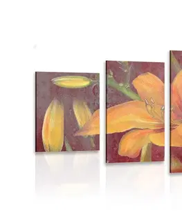 Obrazy kvetov 5-dielny obraz rozkvet oranžovej ľalie