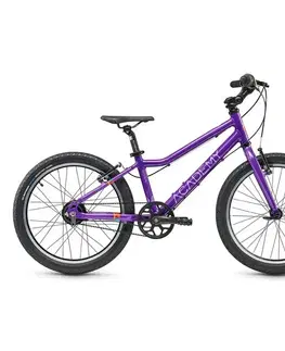 Bicykle Detský bicykel Academy Grade 4 Belt 20" fialová - 11,5" (115-135 cm)