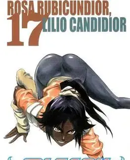 Manga Bleach 17: Rosa Rubicundior, Lilio Candidor - Kubo Tite
