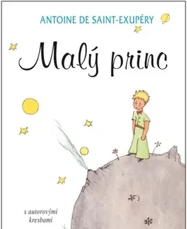 Pre deti a mládež - ostatné Malý princ - 14.vydanie - Antoine de Saint-Exupéry,Antoine de Saint-Exupéry,Elena Šmatláková