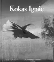 Umenie - ostatné Kokas Ignác - Gyula Rózsa