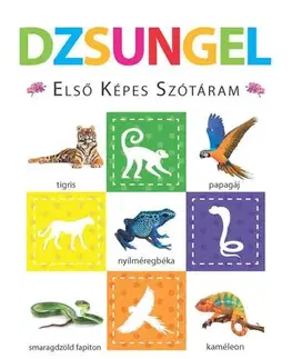 Leporelá, krabičky, puzzle knihy Dzsungel – Első képes szótáram