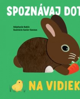 Leporelá, krabičky, puzzle knihy Na vidieku - Spoznávaj dotykom - Stephanie Babin,Xavier Deneux