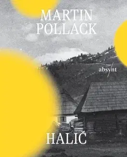 Svetové dejiny, dejiny štátov Halič. Putovanie po stratenom svete - Martin Pollack