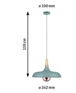 Závesné svietidlá Paulmann Paulmann Juna závesná lampa 1-plameňová, Ø 34,2 cm