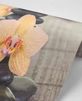 Samolepiace tapety Samolepiaca fototapeta orchidea a Zen kamene