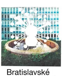 Obrazové publikácie Bratislavské moderné fontány - Martin Zaiček