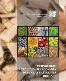 Pre vysoké školy Technológia a technika spracovania drevnej a rastlinnej biomasy - Kolektív autorov